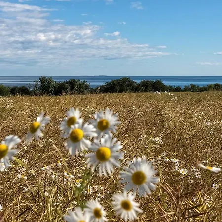 Bornholm Panorama Aparthotel Svaneke