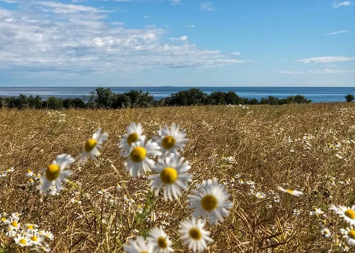 Bornholm Panorama Апарт-отель Сванеке